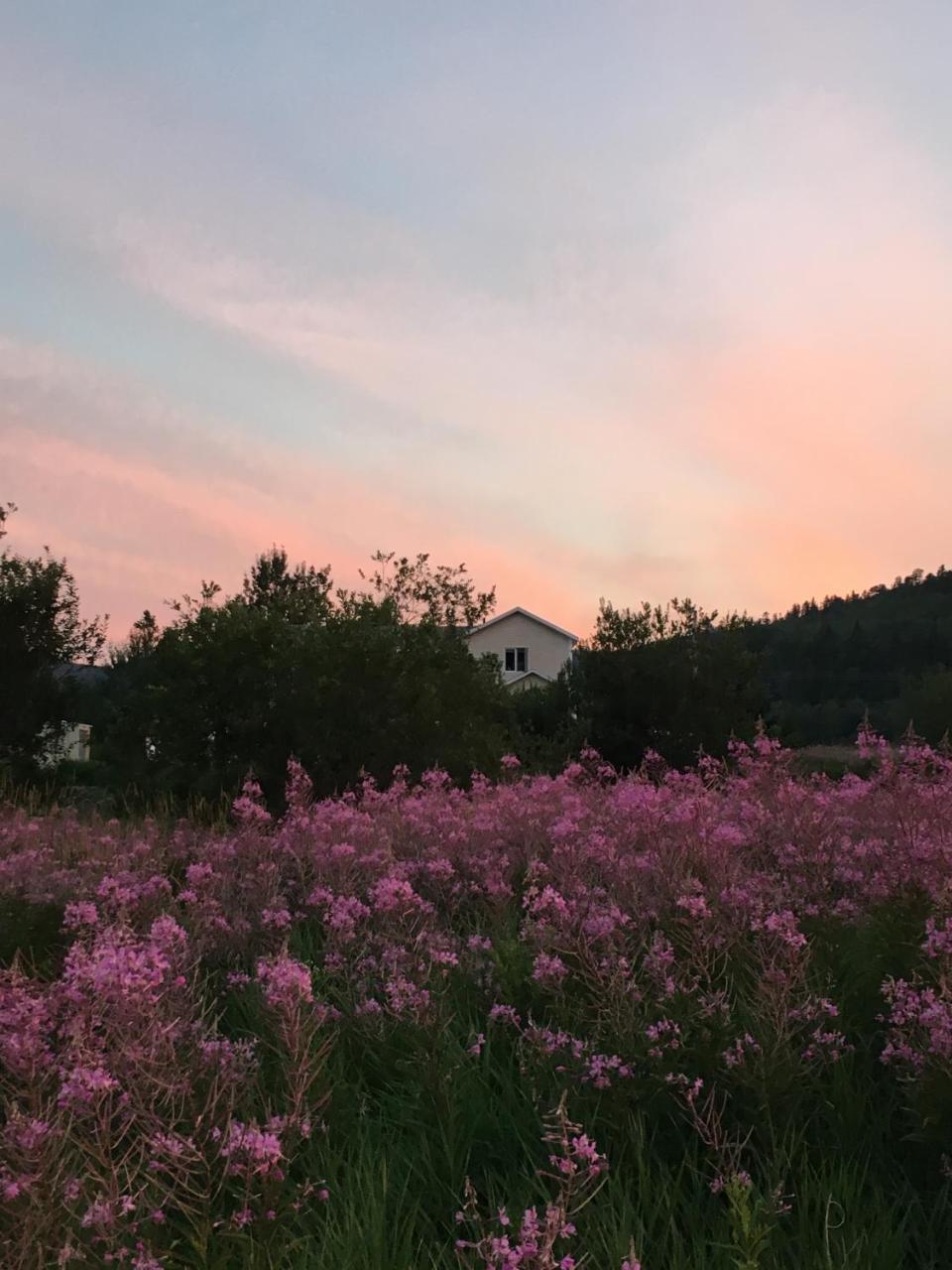 La Chouette Viree Bed & Breakfast Grandes Bergeronnes Bagian luar foto